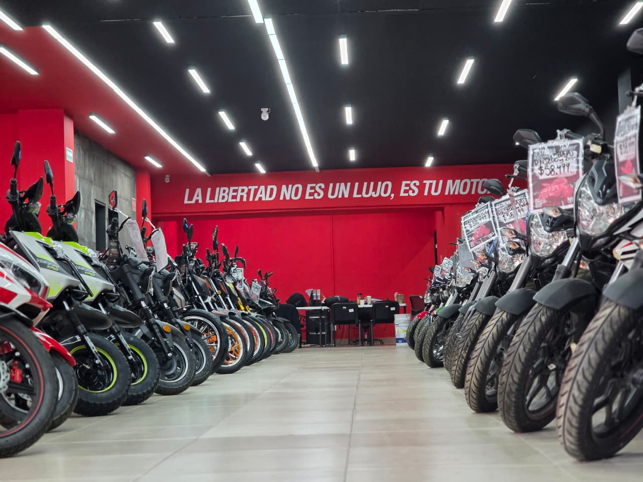 Showroom RiderMex